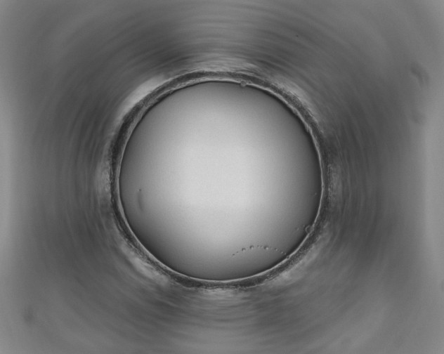 X0000110941114200906261255