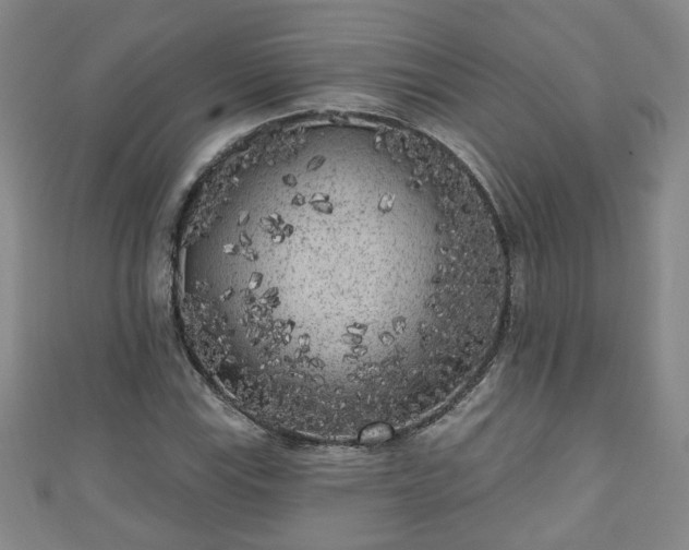 X0000110941115200906261255
