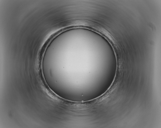 X0000110941116200906261255