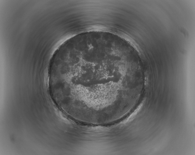 X0000110941117200906261255