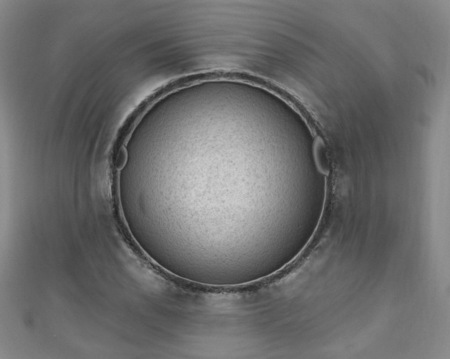 X0000110941118200906261255