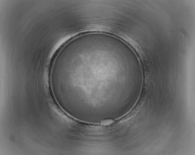 X0000110941120200906261255