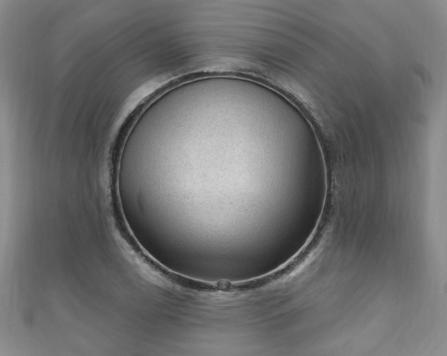 X0000110941122200906261255