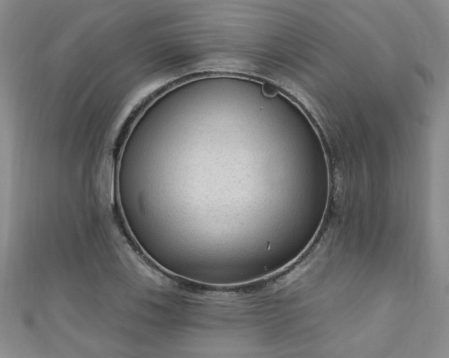 X0000110941123200906261255