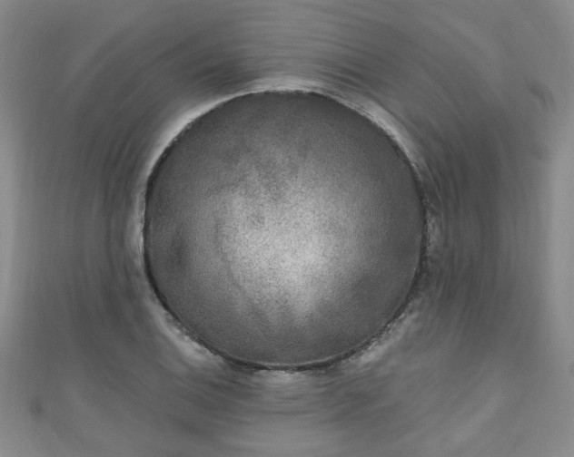 X0000110941124200906261255