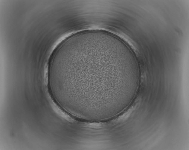 X0000110941126200906261255