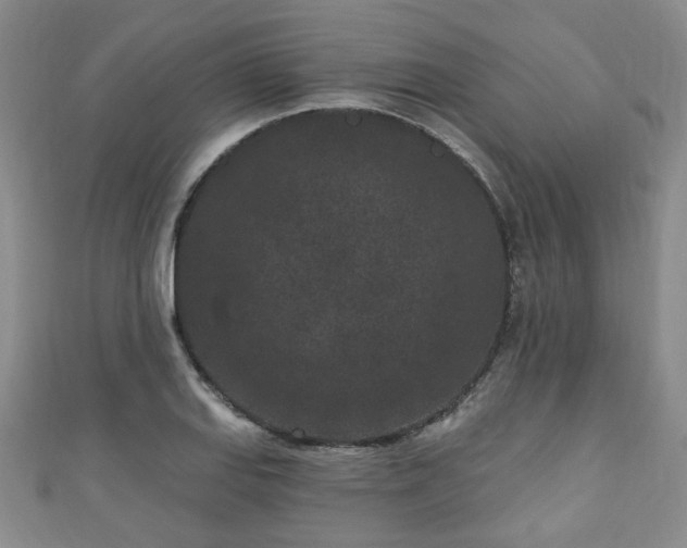 X0000110941127200906261255