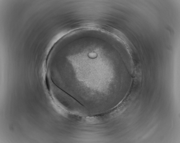 X0000110941128200906261255