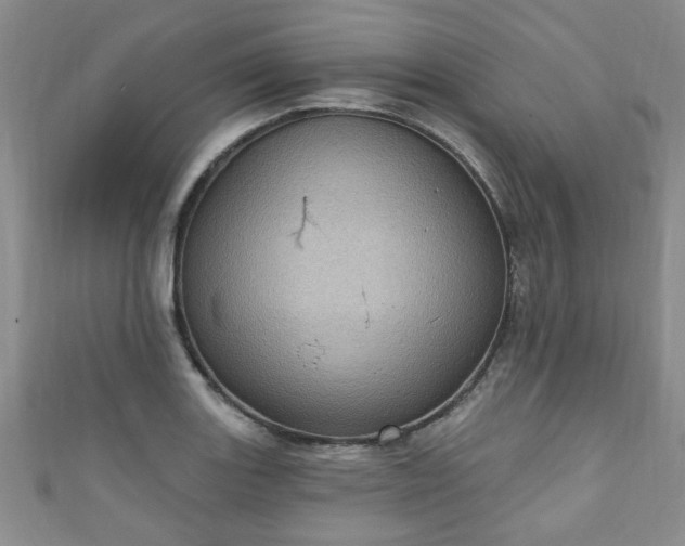 X0000110941131200906261255