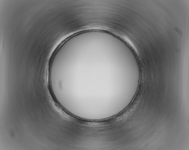 X0000110941132200906261255