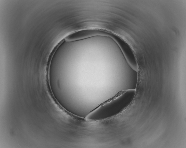 X0000110941134200906261255