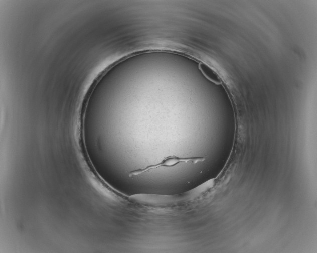 X0000110941136200906261255