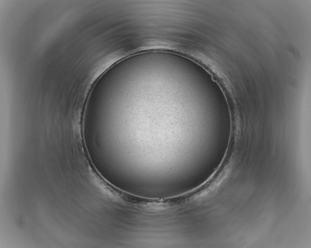 X0000110941137200906261255