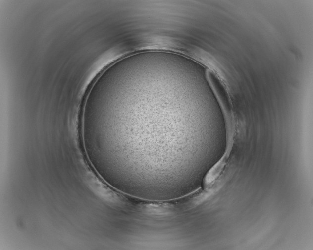 X0000110941138200906261255