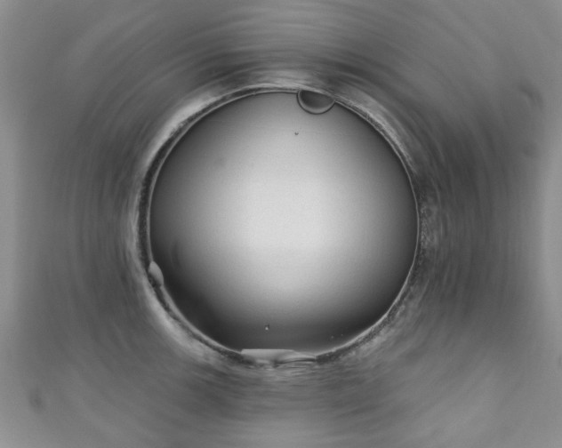 X0000110941139200906261255