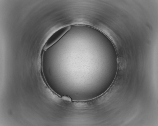 X0000110941140200906261255