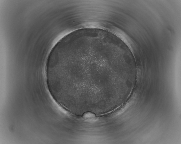 X0000110941141200906261255