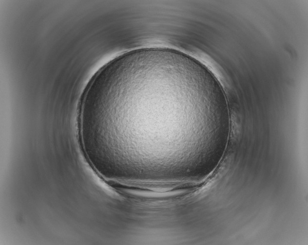 X0000110941142200906261255