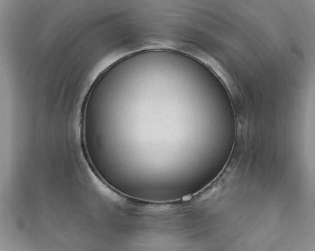 X0000110941143200906261255