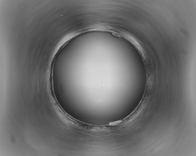 X0000110941146200906261255