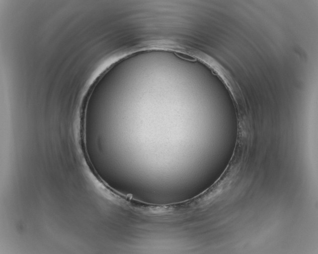 X0000110941147200906261255