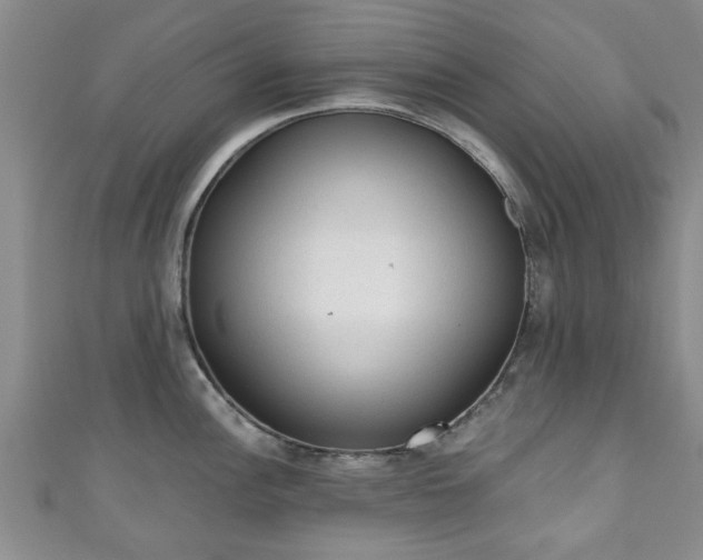 X0000110941148200906261255