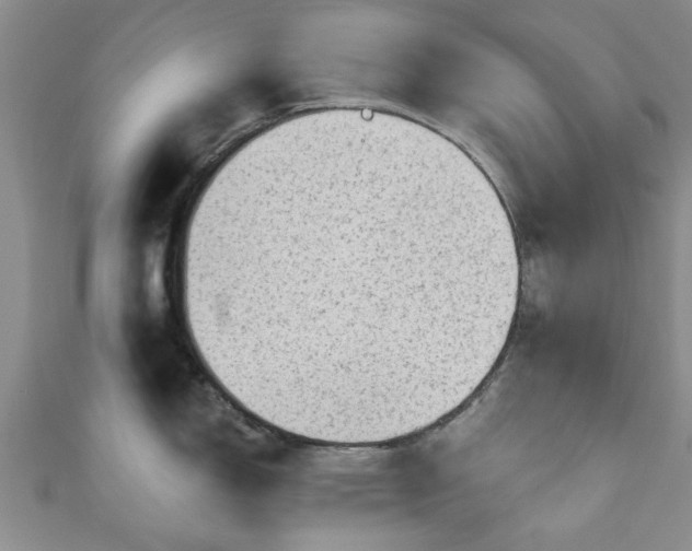 X0000110941150200906261255