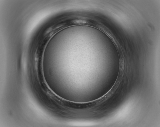 X0000110941151200906261255