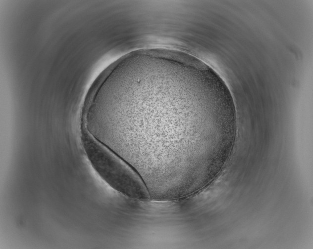 X0000110941152200906261255