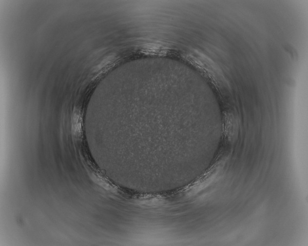 X0000110941154200906261255