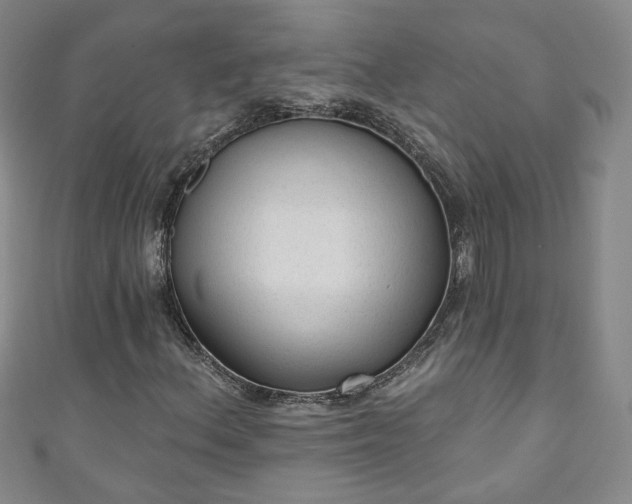 X0000110941156200906261255