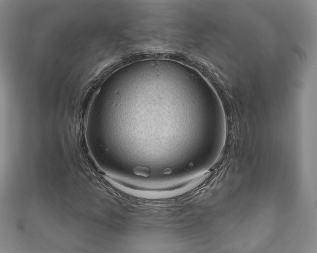 X0000110941157200906261255