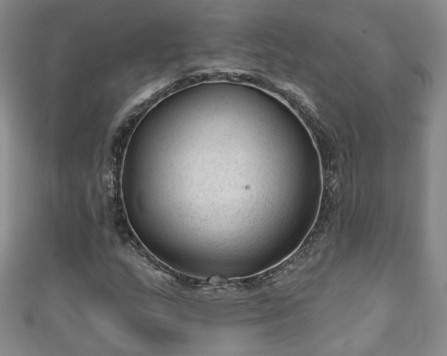 X0000110941159200906261254