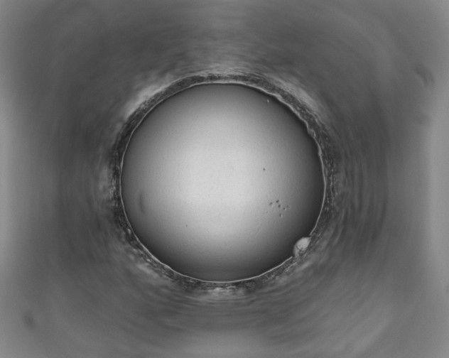 X0000110941160200906261254