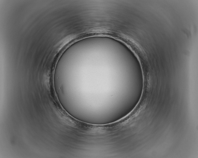 X0000110941162200906261254