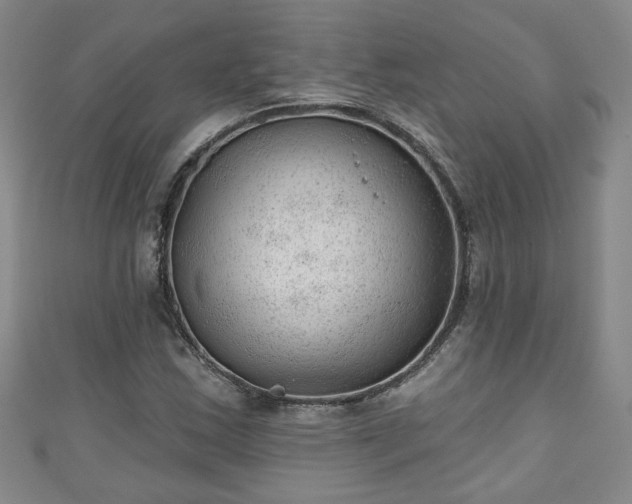 X0000110941163200906261254