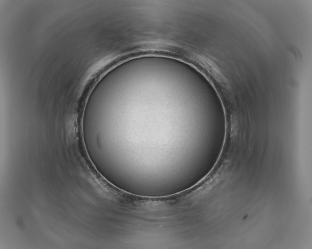 X0000110941164200906261254