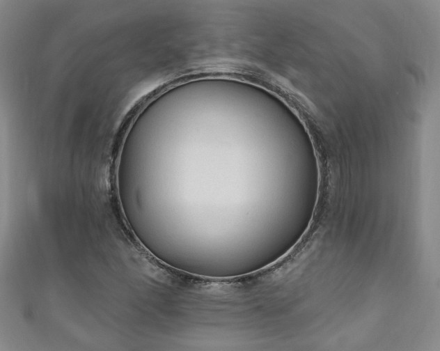 X0000110941166200906261254