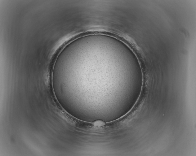 X0000110941167200906261254