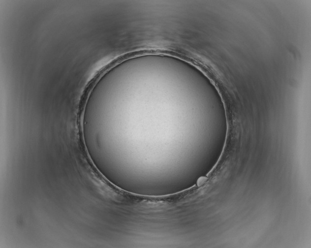 X0000110941168200906261254