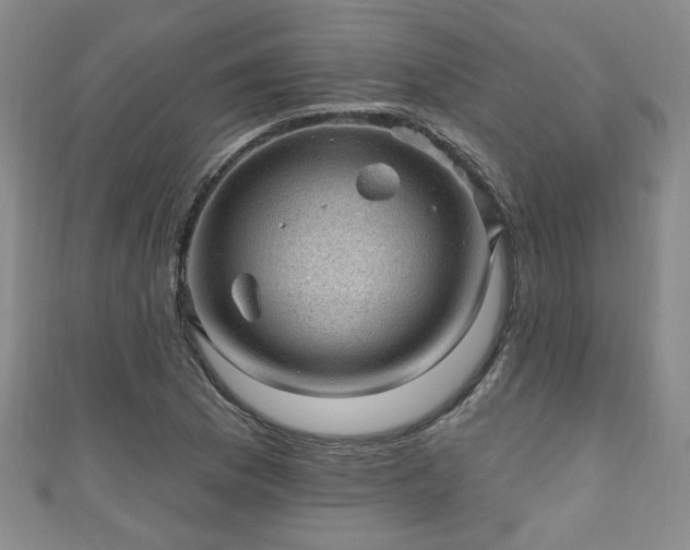 X0000110941169200906261254