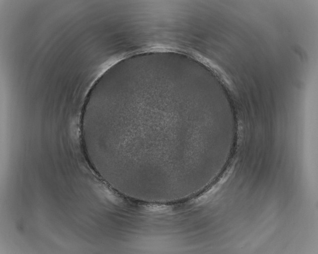 X0000110941170200906261254