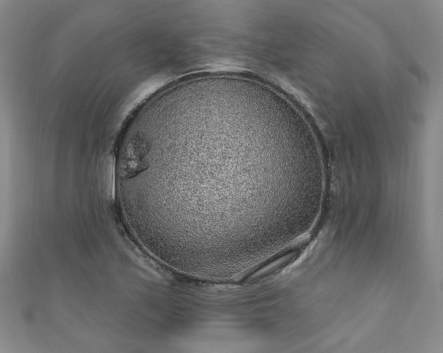 X0000110941171200906261254