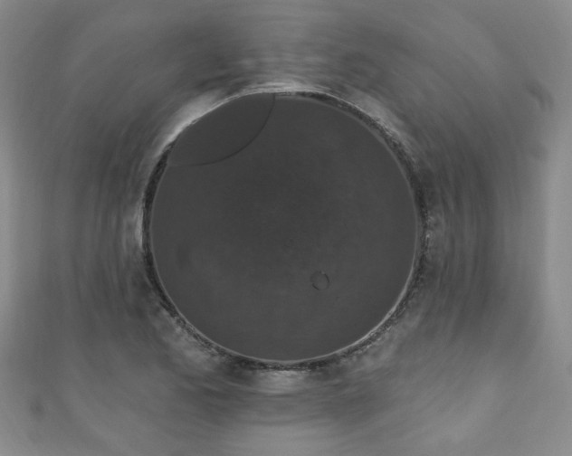 X0000110941173200906261254