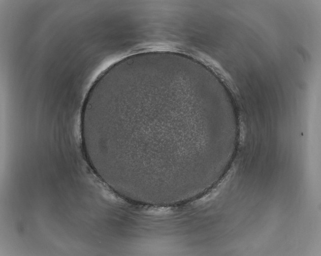 X0000110941174200906261254