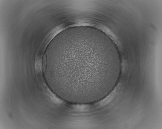 X0000110941177200906261254