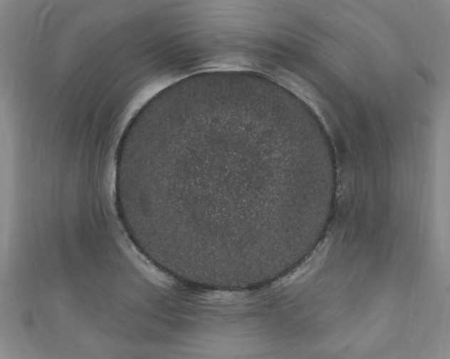 X0000110941179200906261254