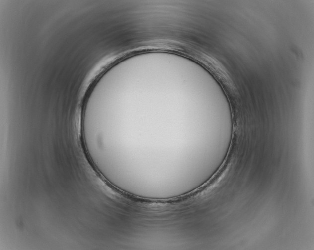 X0000110941180200906261254