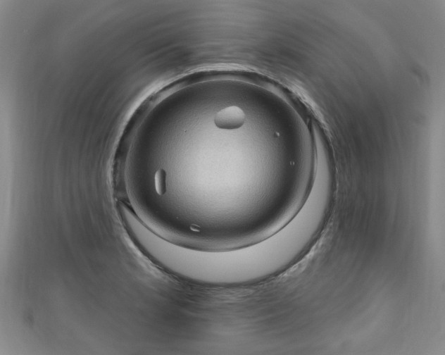 X0000110941181200906261254