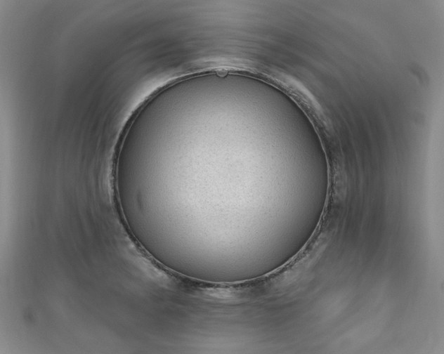 X0000110941182200906261254